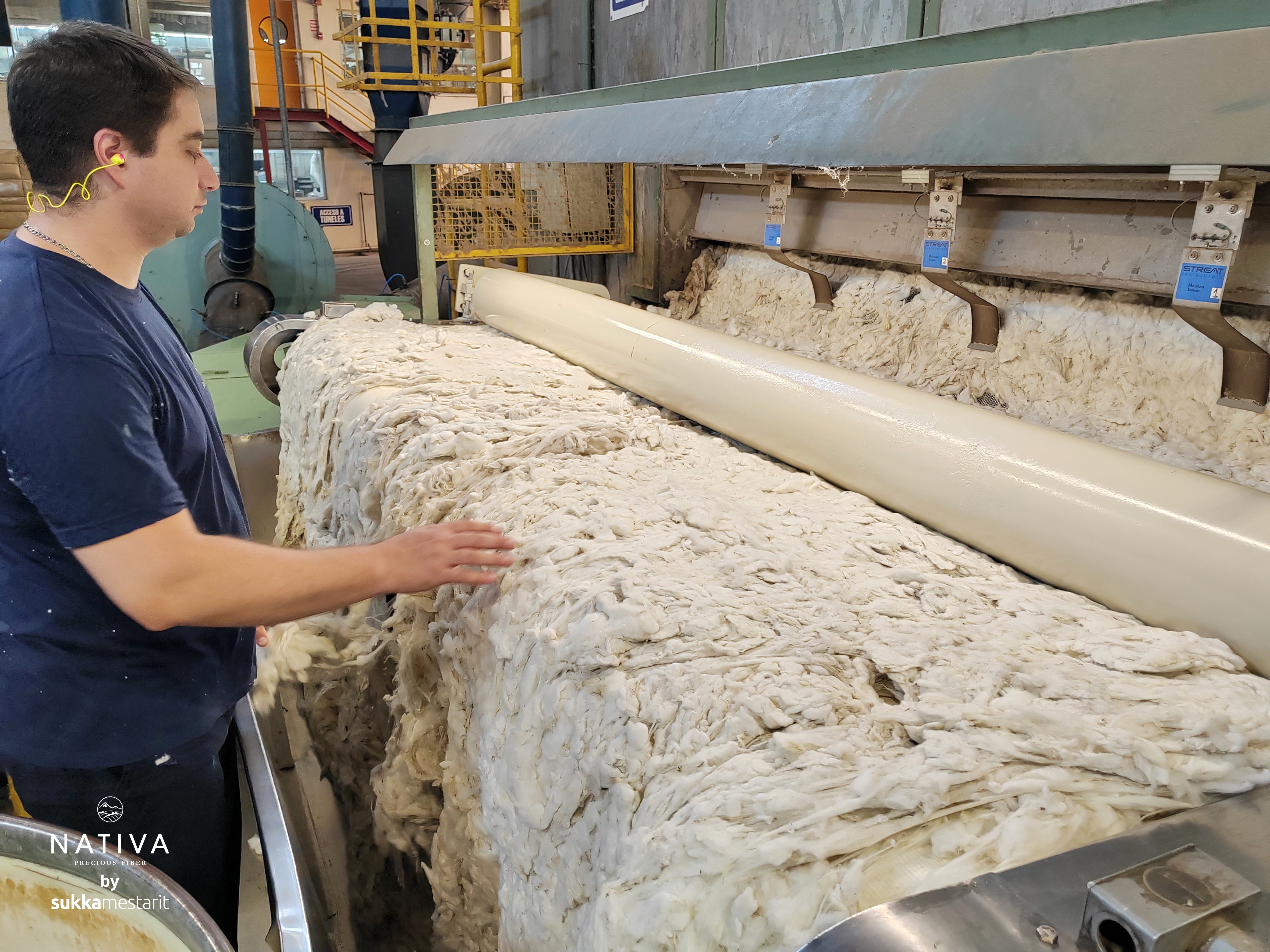 Chargeurs Wool